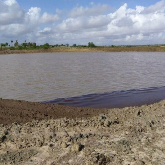 Basin